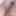 Chub 2