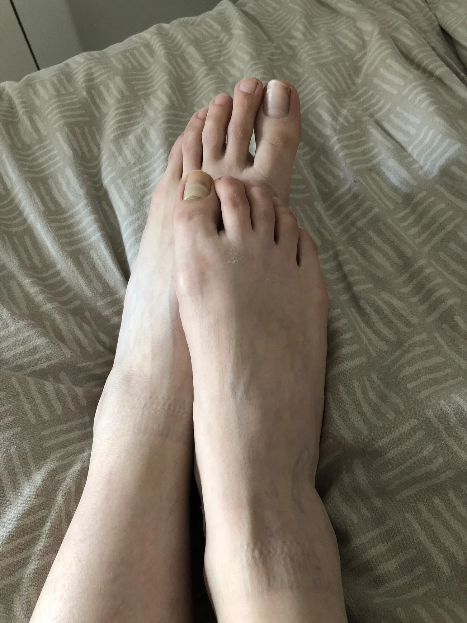 Pieds 