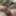 Masturbation 