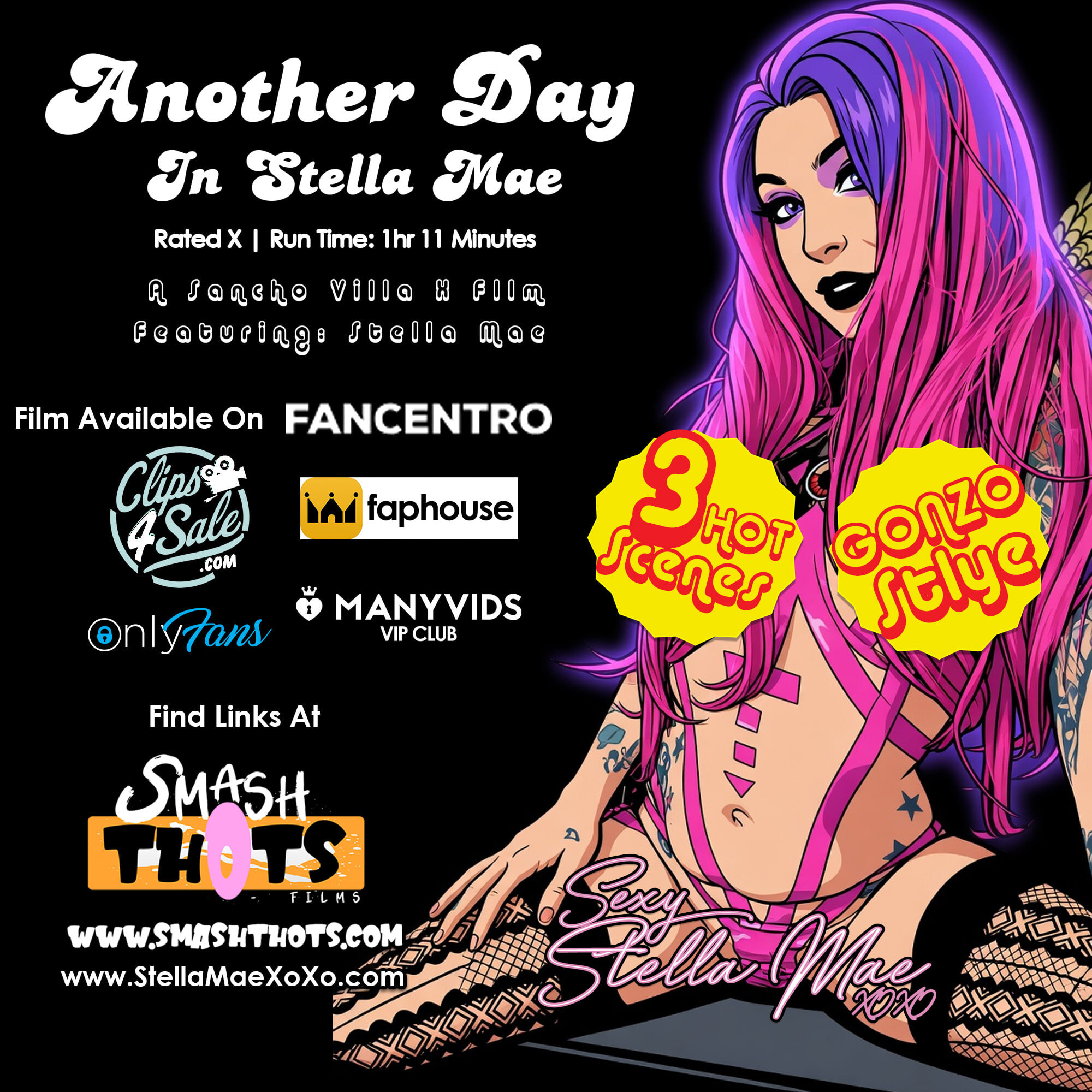 Another Day In Stella Mae Video Covers