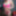 Close up pussy and nipple pics #11