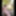 Nude walk on the forest path from the Waldkunstfahrt Darmsta #11