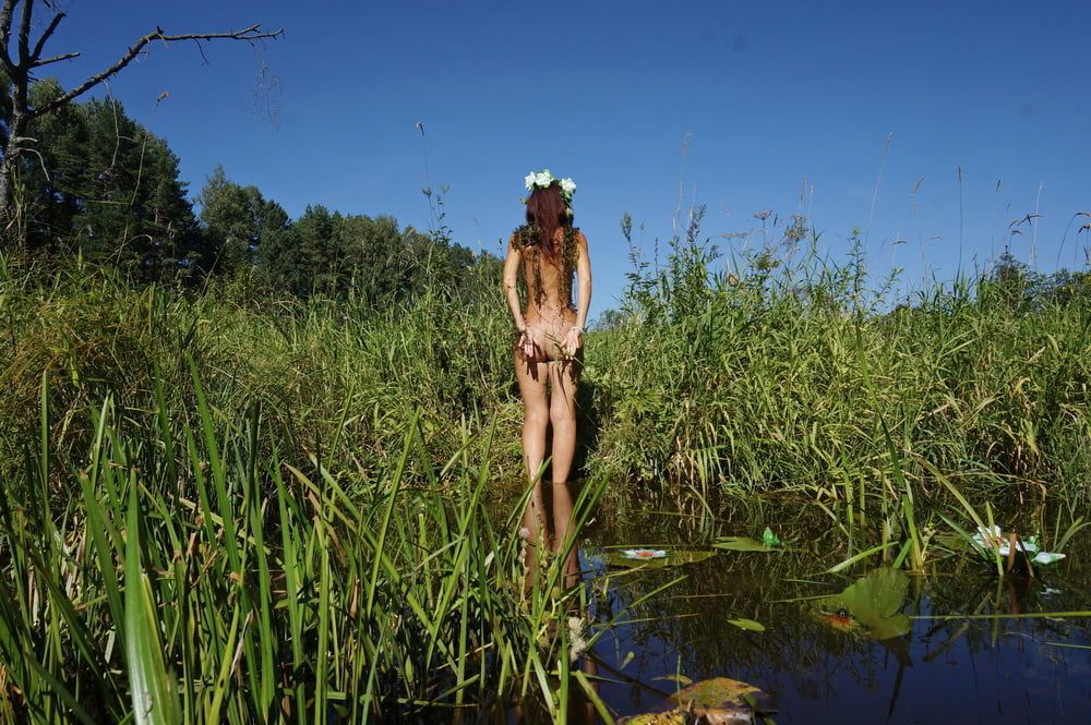  In Pond with Waterflowers 2 #6