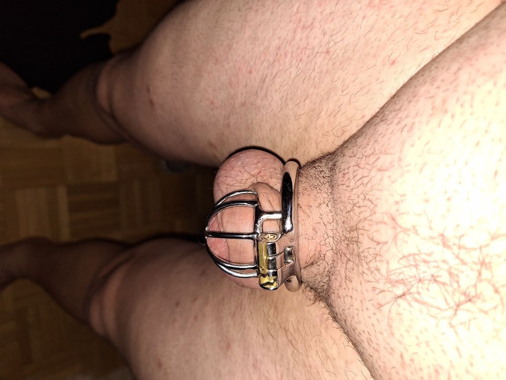 My first Cockcage #2