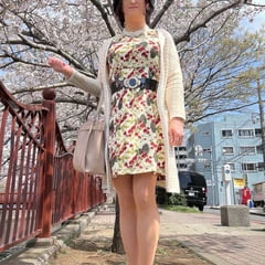 Cherry blossom 