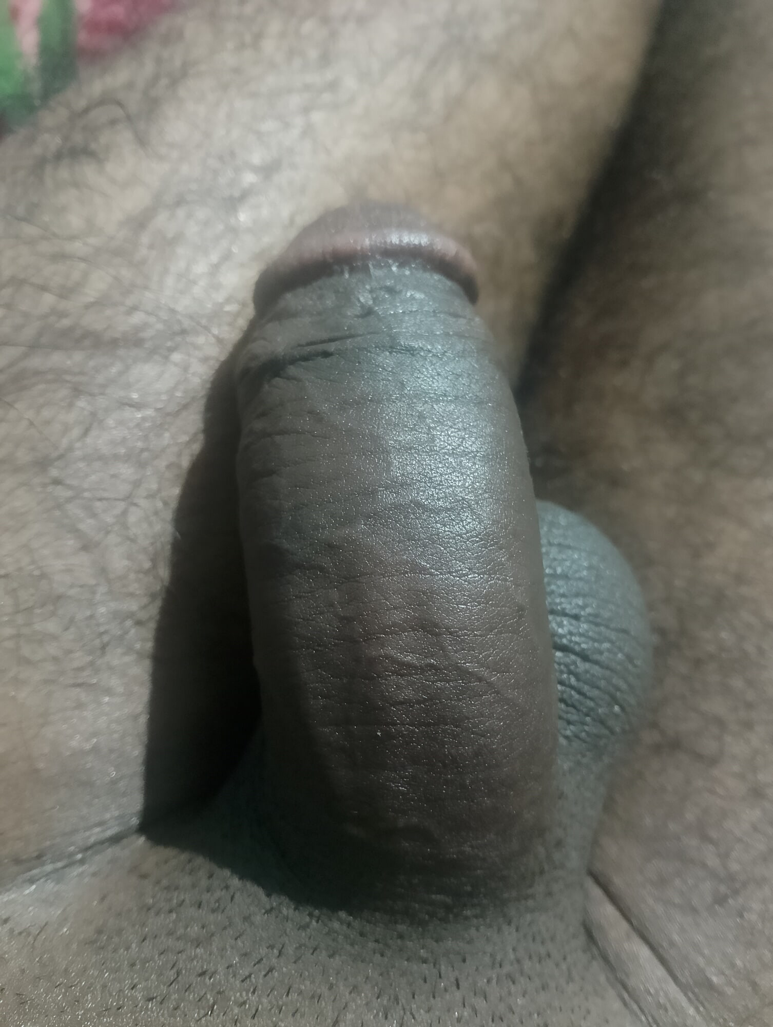 Bangladeshi Sylheti Boy Hard Dick #2
