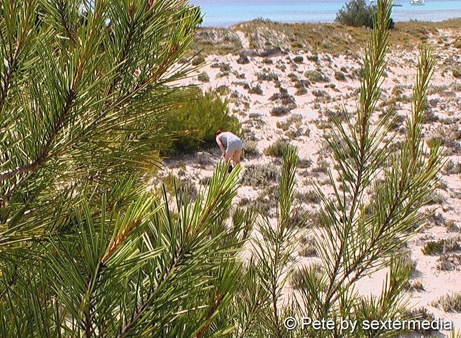 Bruinette woman alone naked while sunbathing #31