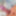 Erecciones Excitantes - Mi Pene en Extasis Total  #14