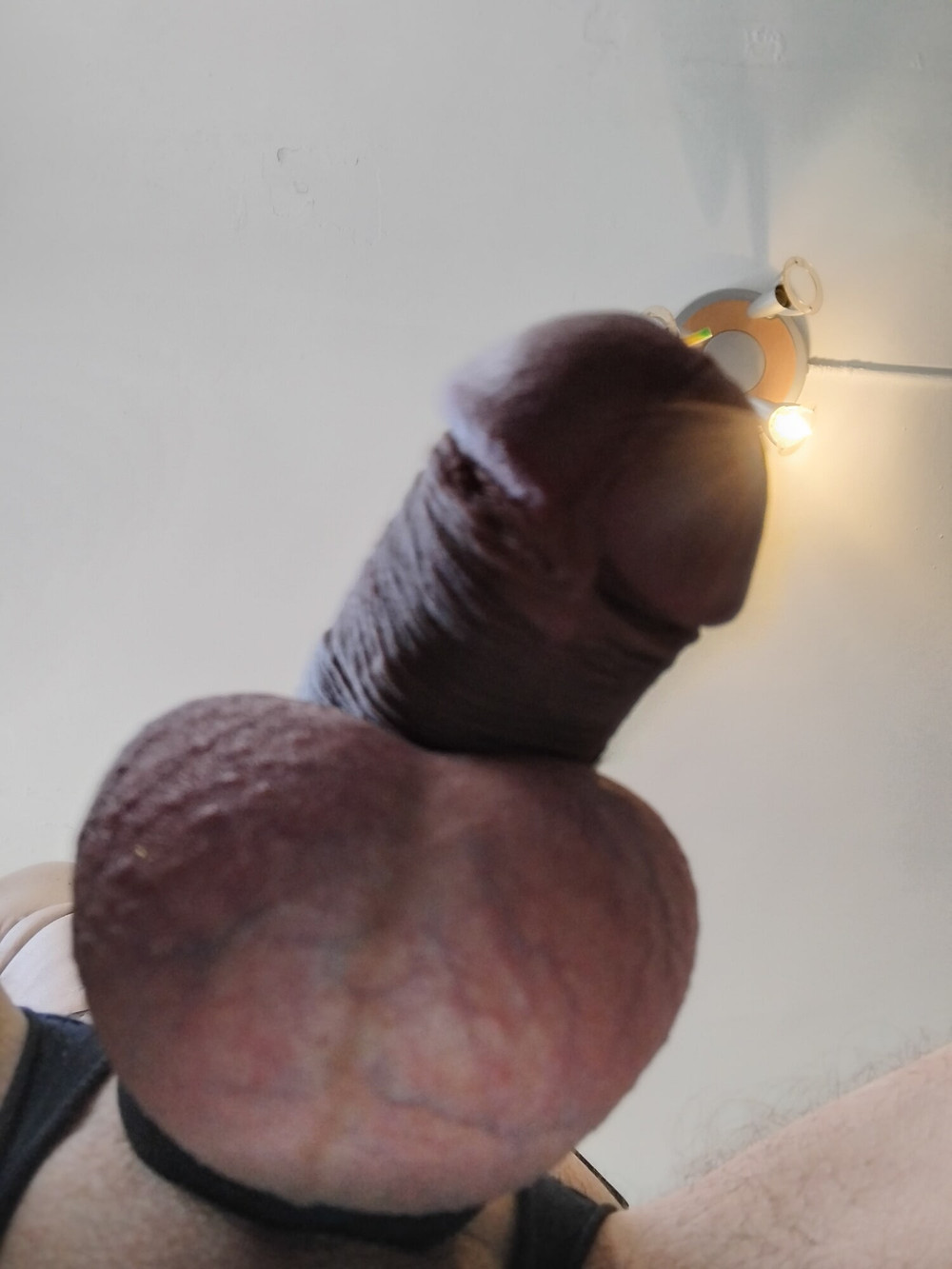 Viel Penis 🤣 #13