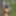 Cvetelina Free Photos #42