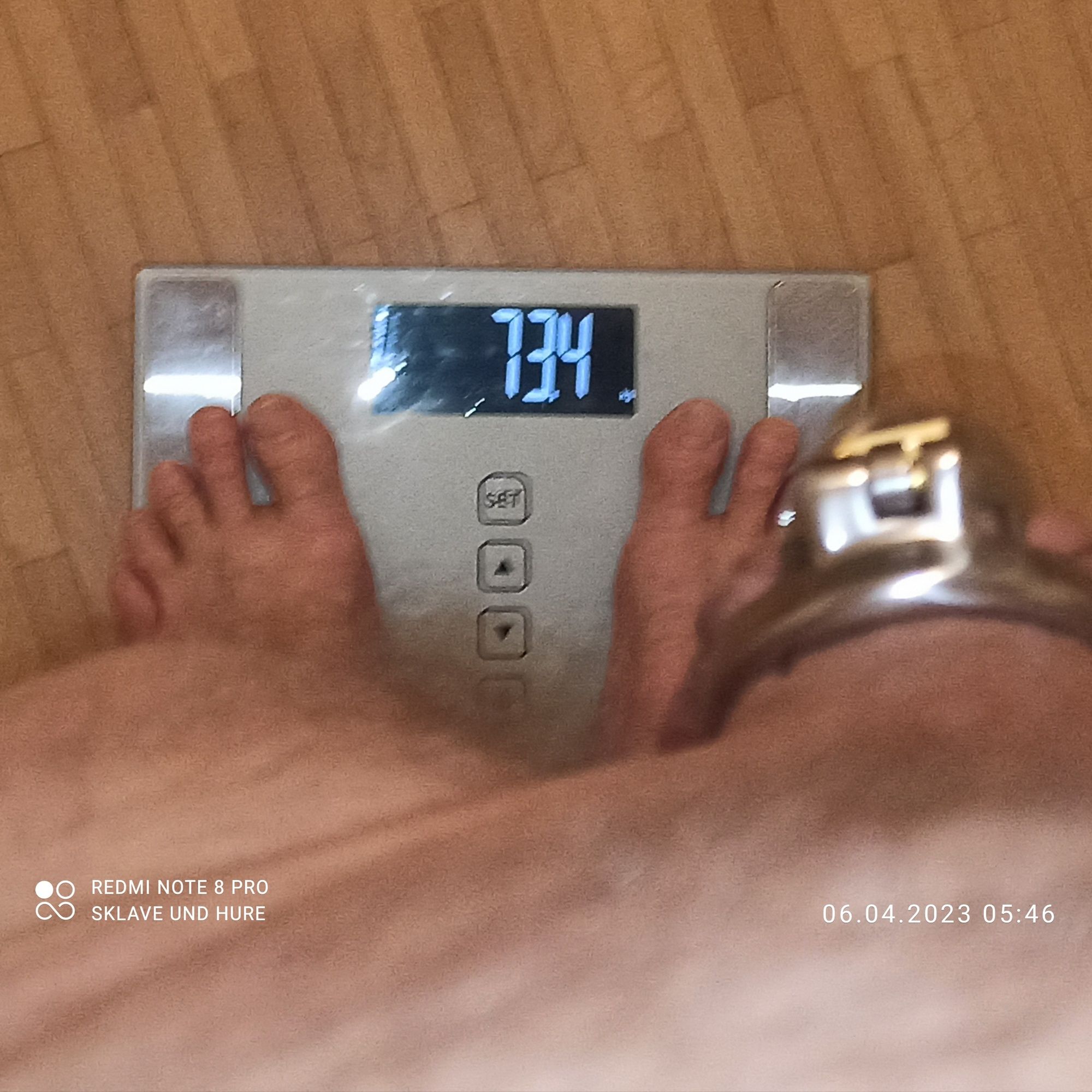 mandatory weighing and cagecheck of April 6, 2023 #13