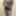 Maya  Free Photos