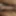 Indian Big Dick