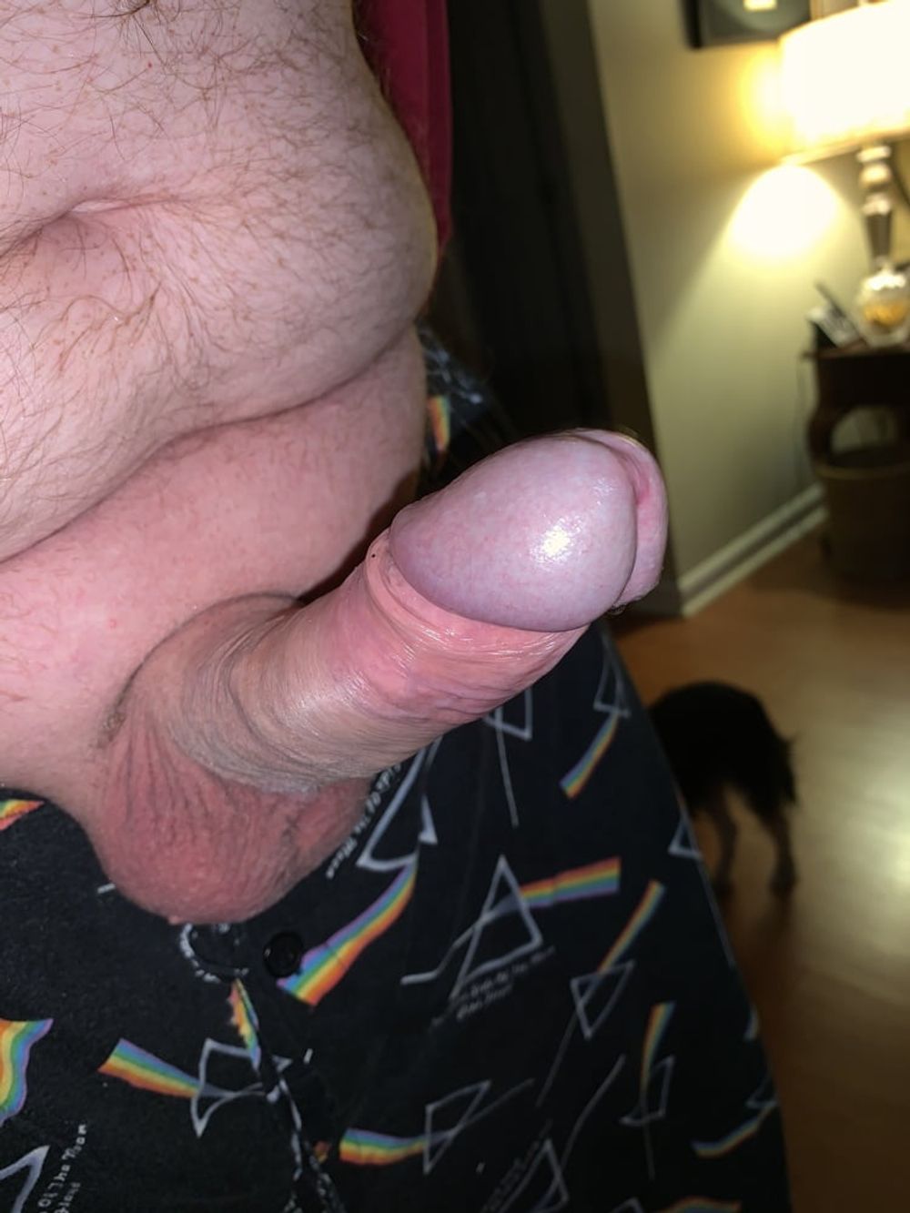 Dick #5