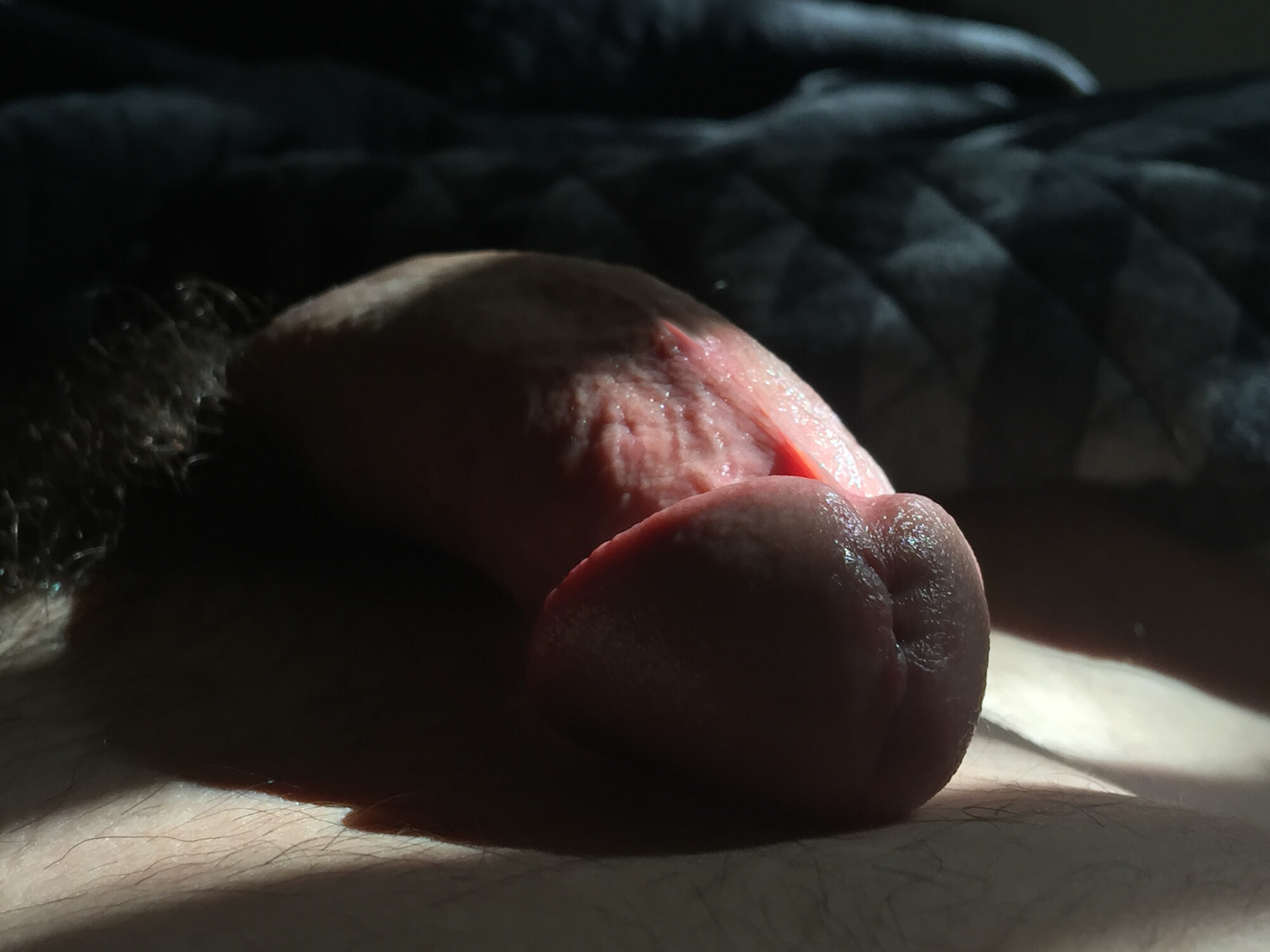Close Up Cock