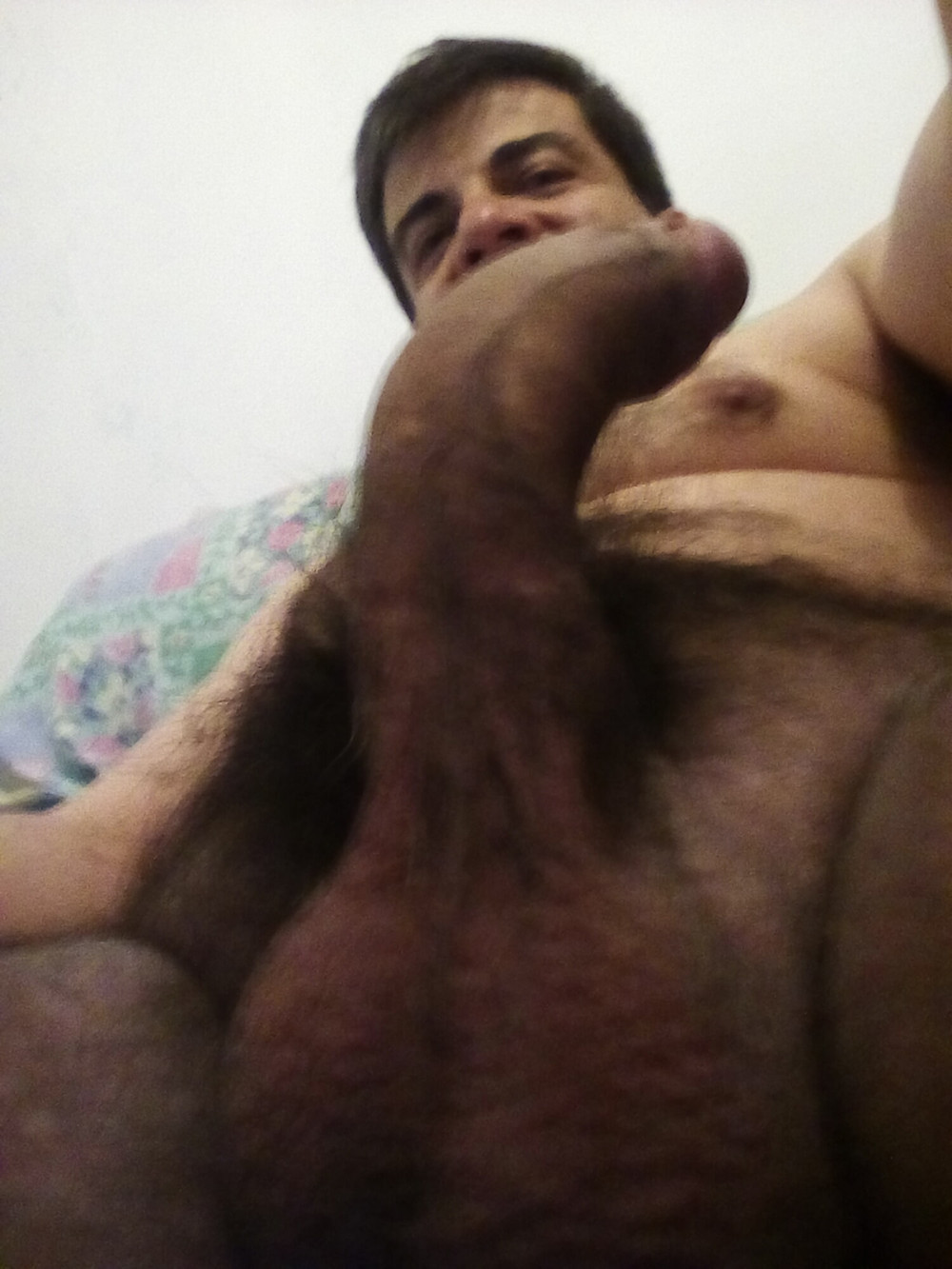 StallionXXX #3