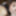 Brunette coed Bella sucking cock #5