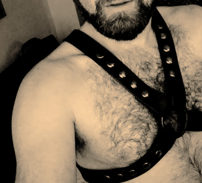 Hairy Chest, Shaved Balls, Tied Ass #34