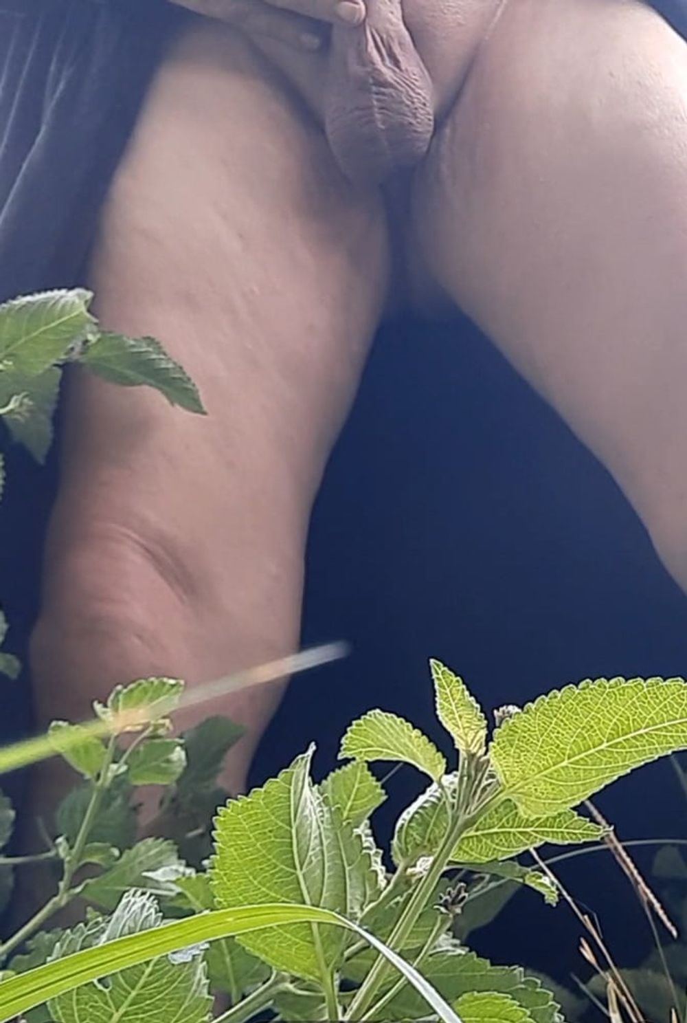 Exhibitionist pee on myself outside  #13