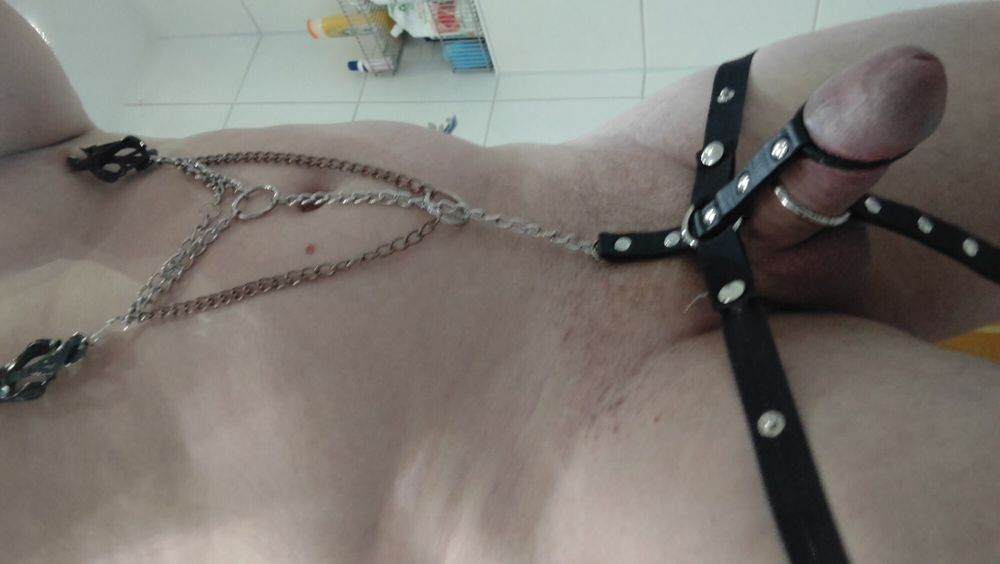 Cock Nipple Bondage Toy #6