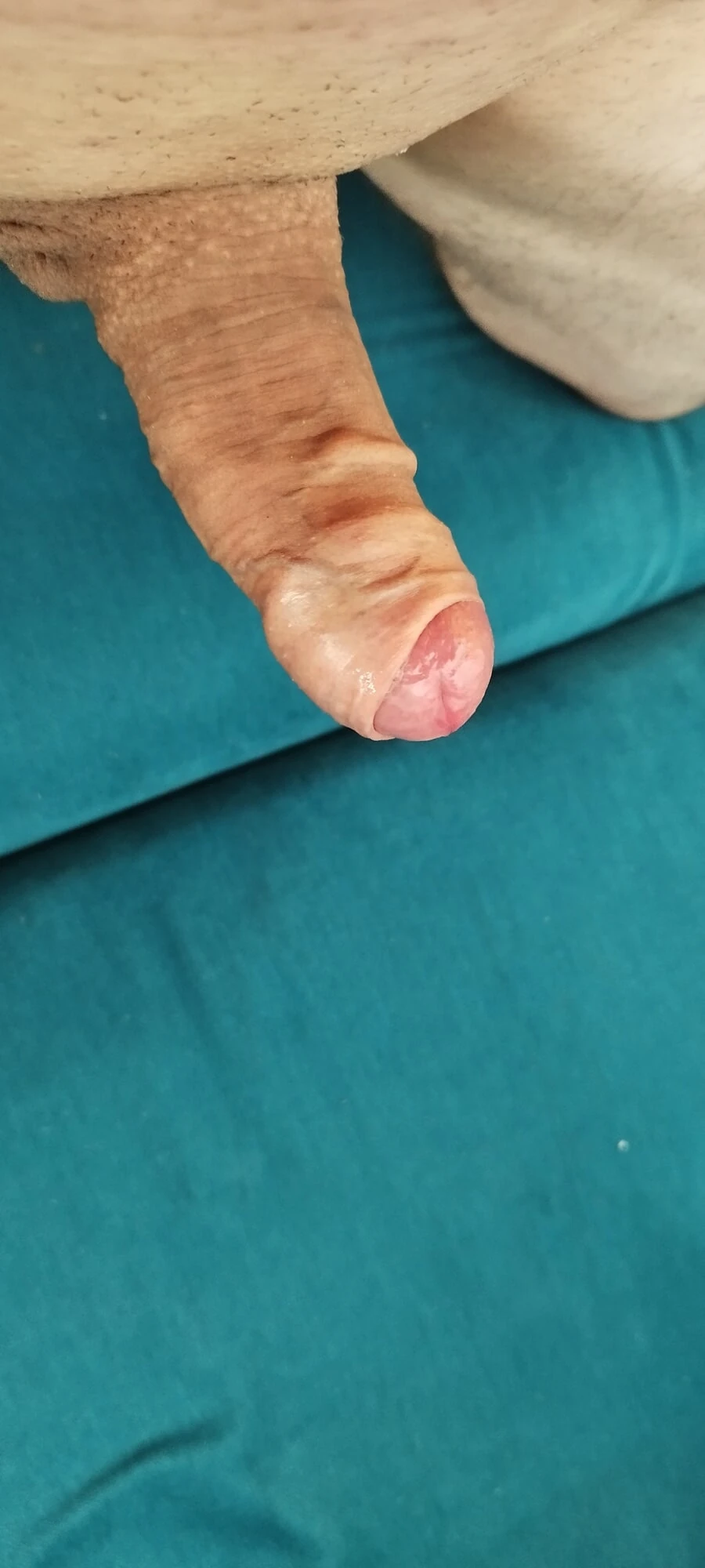 Penis #39