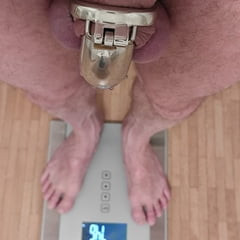 Daily Weighing cagecheck no plug check February 8th, 2024