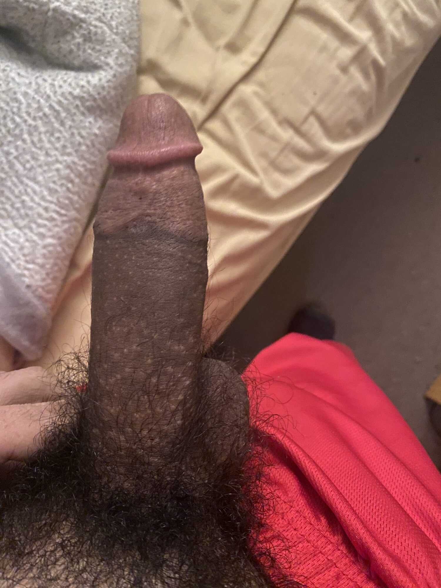 My cock  