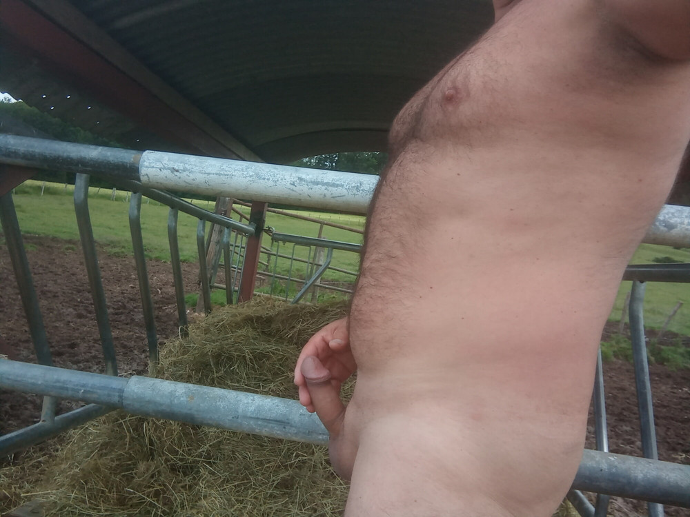 Le 08 Juin 2020 . #19