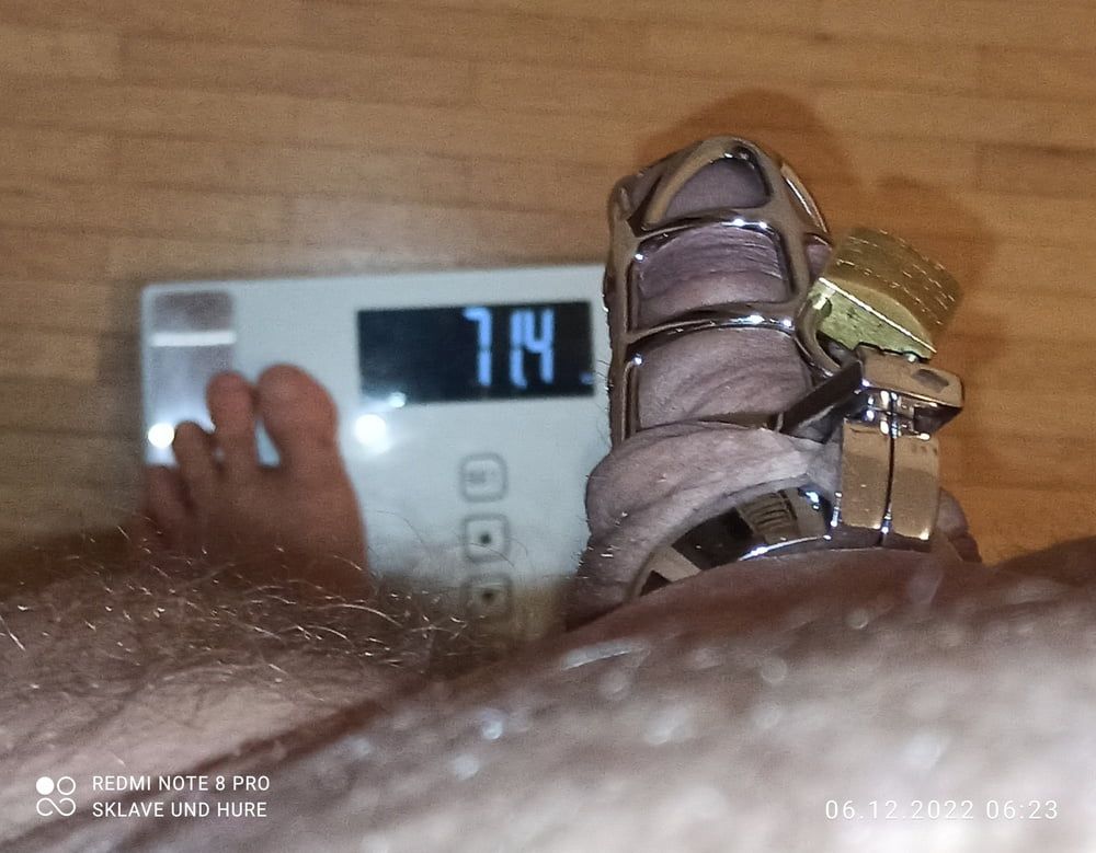 mandatory weighing and cagecheck of 06.12.22 #6