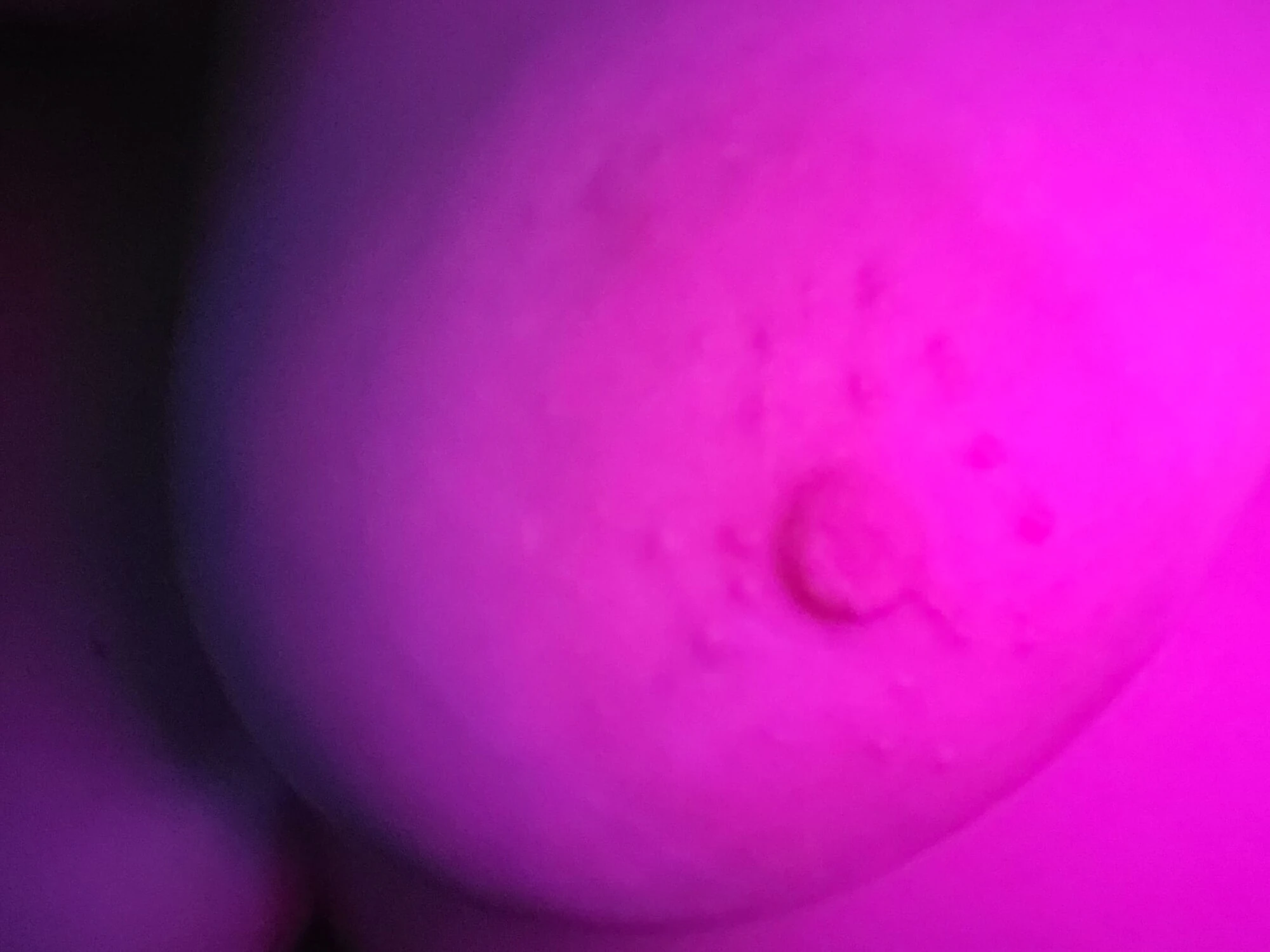 Tittis #41