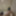 クルド人ゲイによる私的な写真