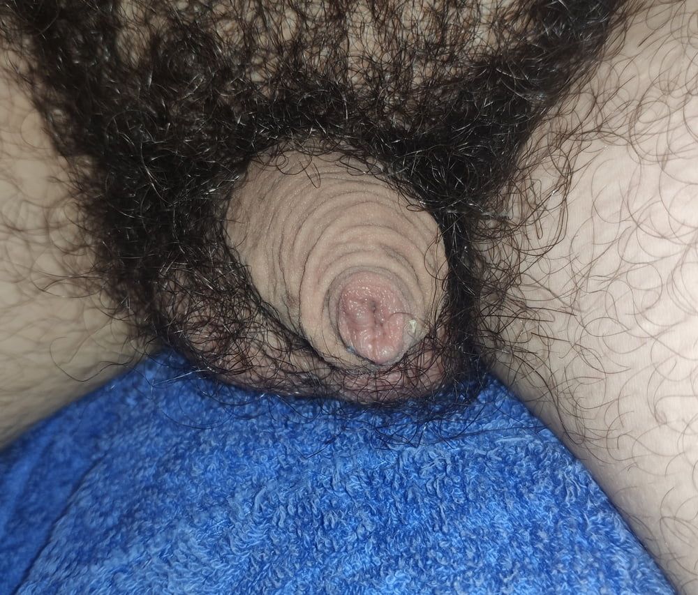 My hairy flaccid cock (tight foreskin phimosis)
