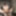 Test #11
