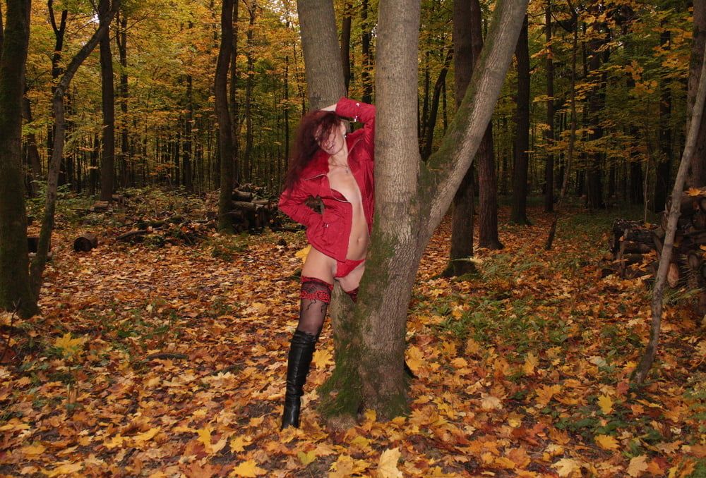 Red Autumn 5 #26
