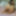 Fuck Toy Pics #14