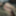 Sexy Slut Evelina Ass Fuck GIFs 8