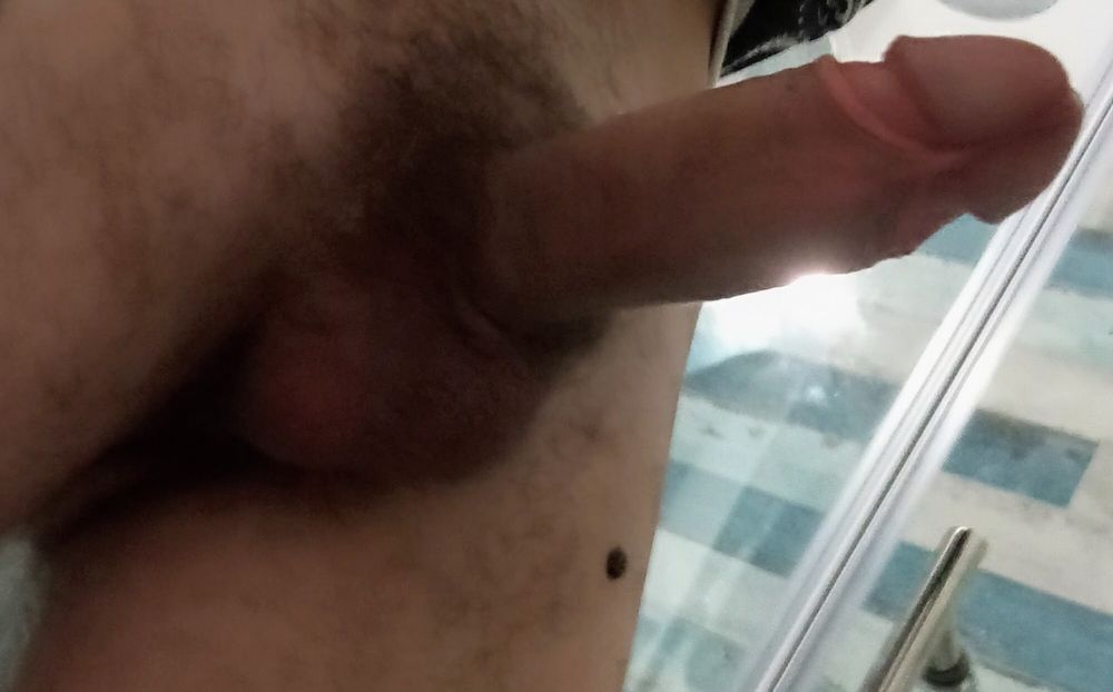 Closeup Cock #19