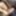 Dance masturbation video  #20