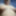 Clothespins 2022