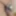 Daily duty of the naked slave March 26th, 2024 #6