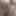 random pics Feb 2020