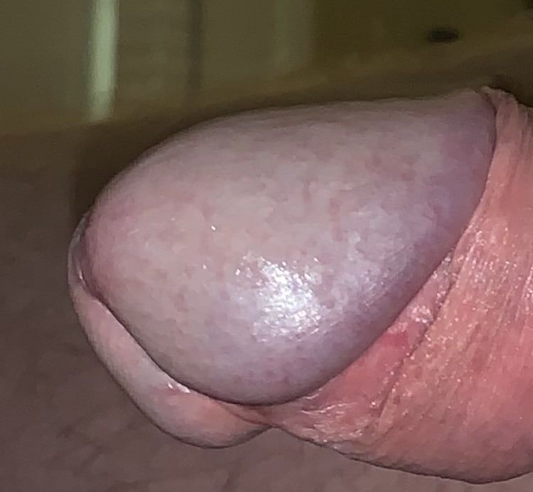 Cock #32