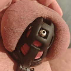 新しいケージ + 拡張器