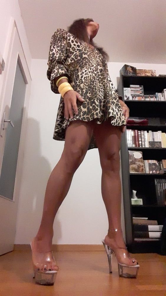 Sissy Tygra in leopard dress on 2019 octobre. #12