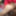 Virgin ass of an 18 year old student boy #9