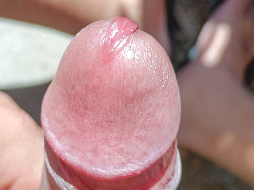My Beautiful Erect Penis with 6 months without waxing #16