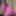 my sexy pinay thai japanese lartina asian girl pictures #38