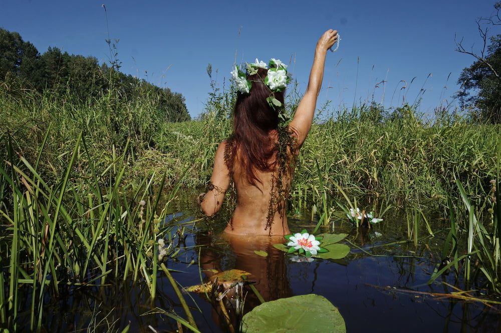  In Pond with Waterflowers 2 #44