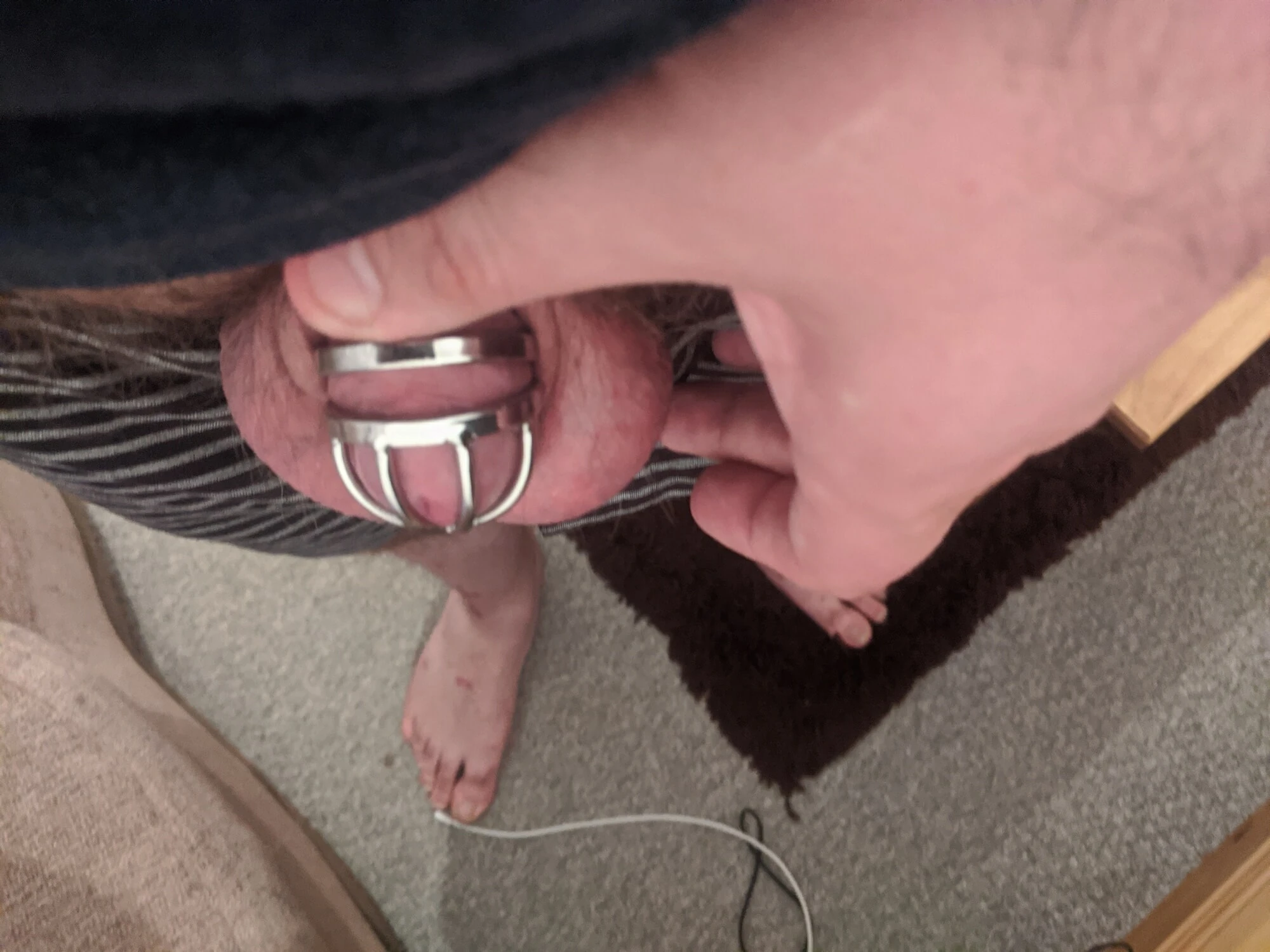 caged cock