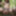 AI Generated art of beautiful elven women